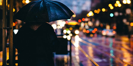 共同见证，多位中国奥运健儿亮相天安门广场参与阅兵仪式观礼