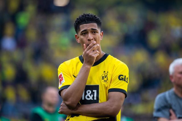 1686218175945011213.jpeg 1686218175945011213.jpeg